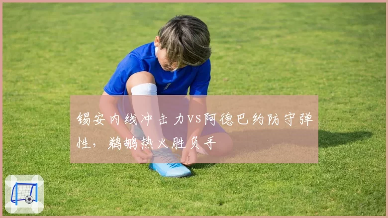 锡安内线冲击力vs阿德巴约防守弹性，鹈鹕热火胜负手