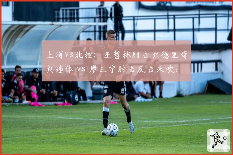 上海vs北控:王哲林肘击尔德里奇判违体 vs 廖三宁肘击反击未吹,冲突升级导火索