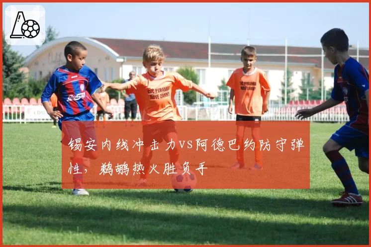 锡安内线冲击力vs阿德巴约防守弹性，鹈鹕热火胜负手