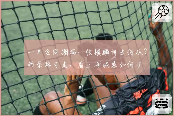 一年合同期满,张镇麟何去何从?两条路可走,看上海诚意如何了