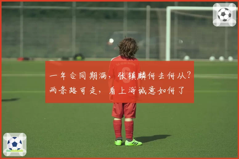 一年合同期满,张镇麟何去何从?两条路可走,看上海诚意如何了